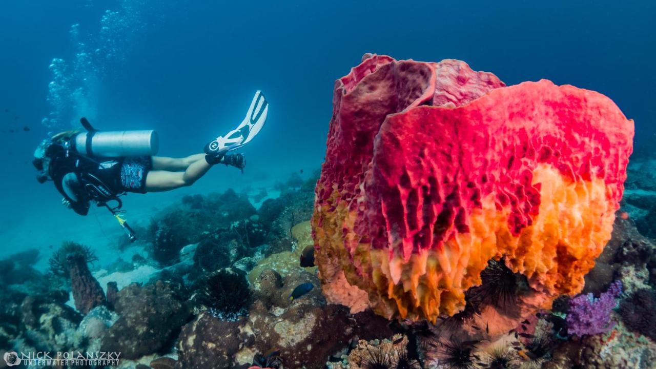 Forra Dive Resort Sunrise Koh Lipe Luaran gambar