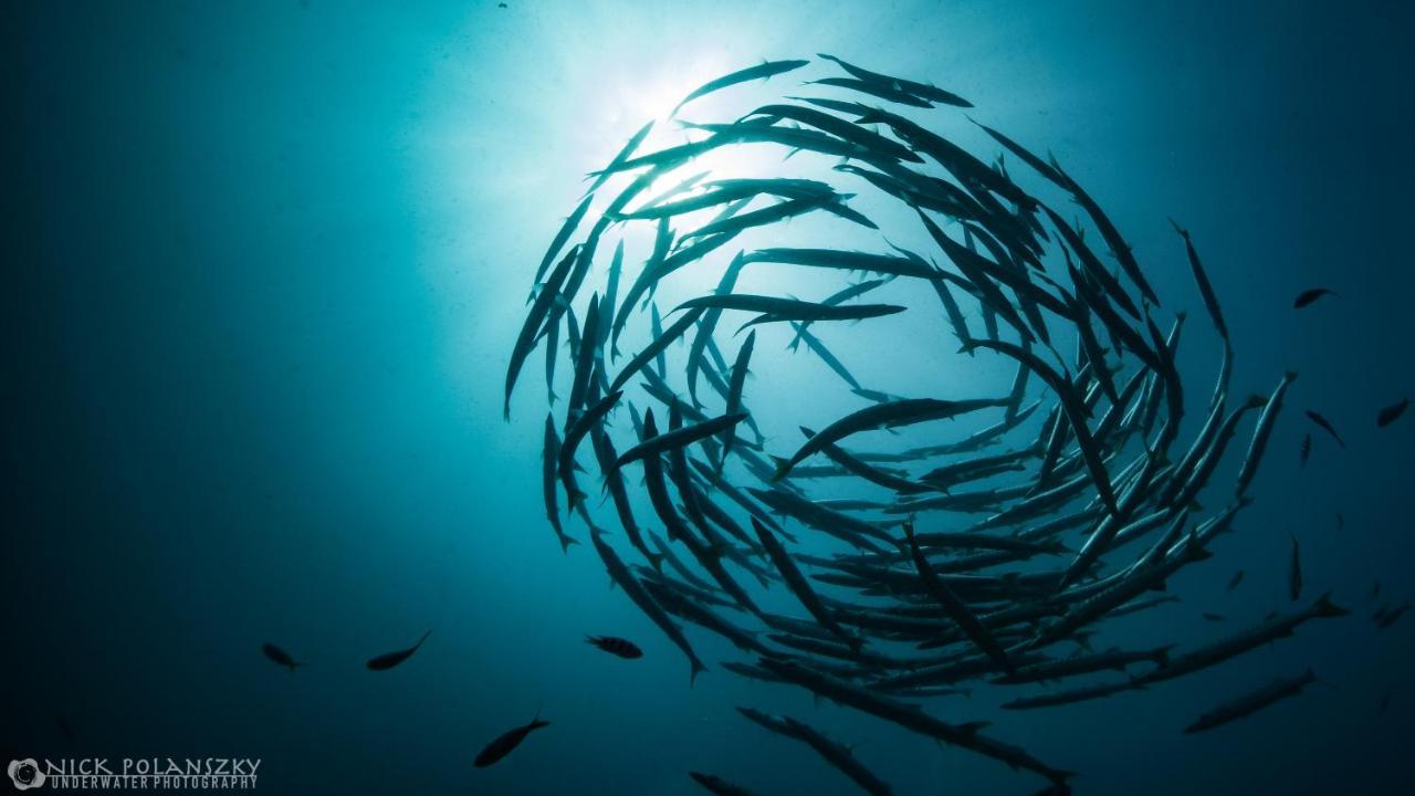 Forra Dive Resort Sunrise Koh Lipe Luaran gambar