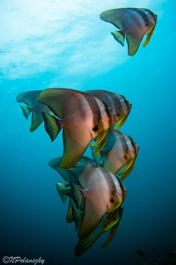 Forra Dive Resort Sunrise Koh Lipe Luaran gambar