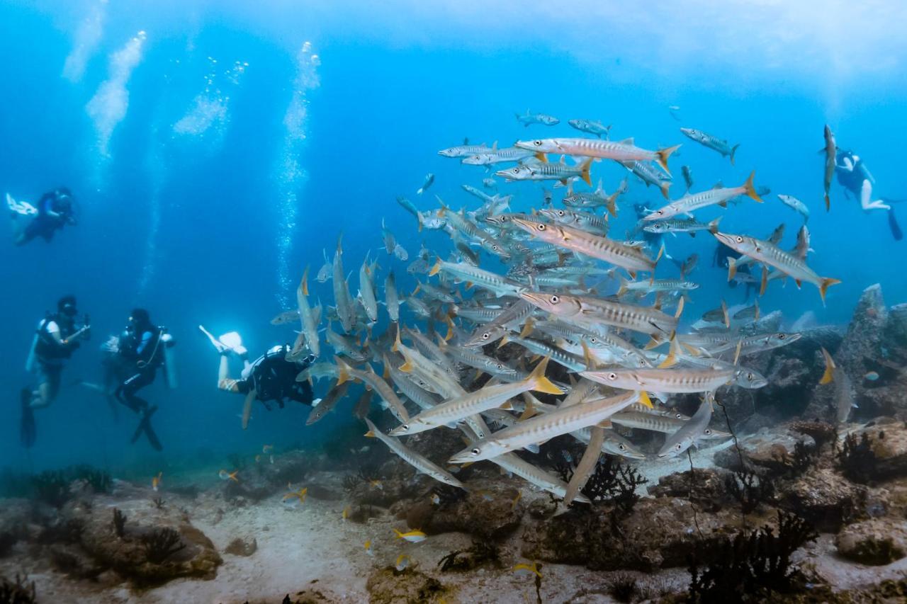 Forra Dive Resort Sunrise Koh Lipe Luaran gambar